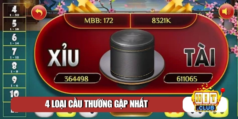 4 loại cầu thường gặp nhất