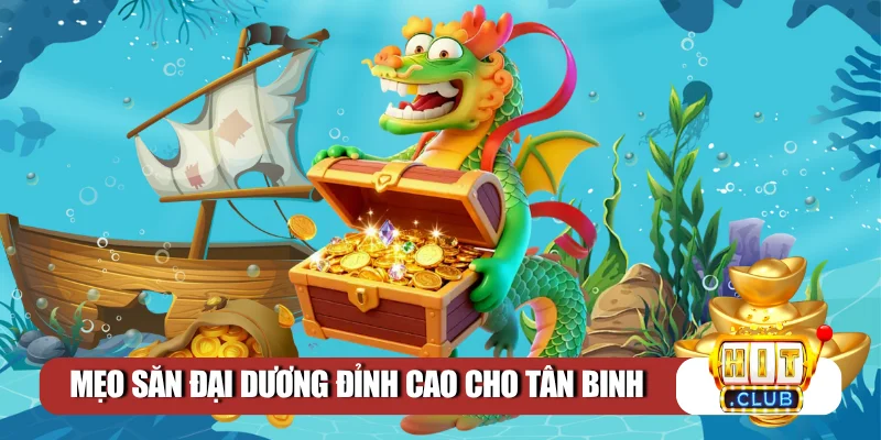 Mẹo săn đại dương đỉnh cao cho tân binh